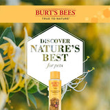 Burt's Bees for Pets Natural Itch Soothing Spray with Honeysuckle | Best Anti-Itch Spray for Dogs With Itchy Skin | Cruelty Free, Sulfate & Paraben Free - Made in the USA, 10 Oz