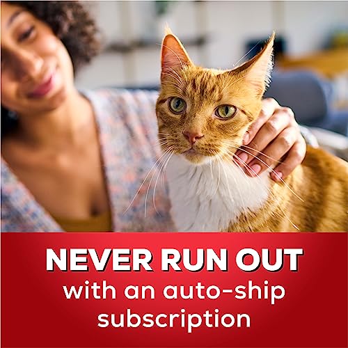 Purina Tidy Cats Unscented Cat Litter, Free & Clean Clumping Clay Cat Litter, Recyclable Box - 40 lb. Bag