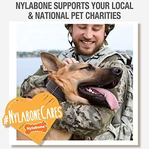 Nylabone Healthy Edibles WILD Natural Long-Lasting Dog Treats - Dog Bone Treats - Bison Flavor, Large (1 Count)