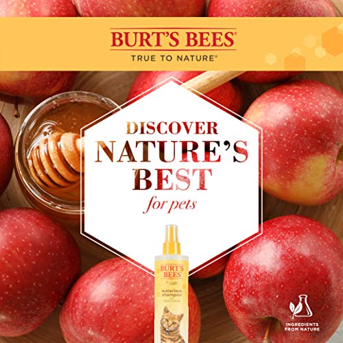 Burts Bees for Pets Cat Natural Waterless Shampoo with Apple and Honey | Cat Waterless Shampoo Spray | Easy to Use Cat Dry Shampoo for Fresh Skin and Fur Without a Bath | Made in the USA, 10 Oz