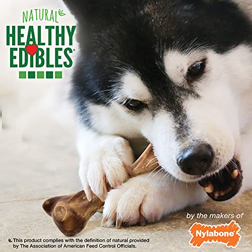 Nylabone Healthy Edibles WILD Natural Long-Lasting Dog Treats - Dog Bone Treats - Bison Flavor, Large (1 Count)