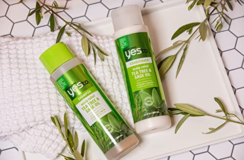 Yes To Tea Tree Scalp Relief Shampoo, pH Balancing Formula To Calm Dry Itchy Scalp While Moisturizing & Nourishing Hair, With Tea Tree & Sage Oil, Natural, Vegan & Cruelty Free, 12 Fl Oz