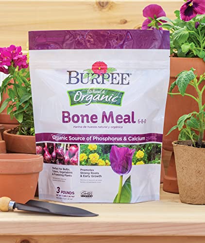 Burpee Organic Horticultural Add to Potting Soil | Ideal for Seed Starting, Water Retention and Plant Propagation | 100% Natural | 8 Quart, 1-Pack, Vermiculite (8qt)