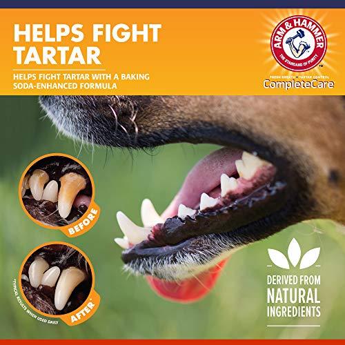 Arm & Hammer Complete Care Dog Dental Kit | 2.5 oz Chicken Flavor Enzymatic Dog Toothpaste, Toothbrush, & Finger Brush | Baking Soda Enhanced Formula for Fresh Breath and Tartar Control