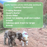 Nature Gnaws USA Turkey Tendons for Dogs - Premium Natural Chew Treats - Delicious Reward Snack for Small Medium & Large Dogs - Made in The USA 4 oz Bag