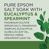 Dr Teal's Pure Epsom Salt Soak, Relax & Relief with Eucalyptus & Spearmint, 3lbs