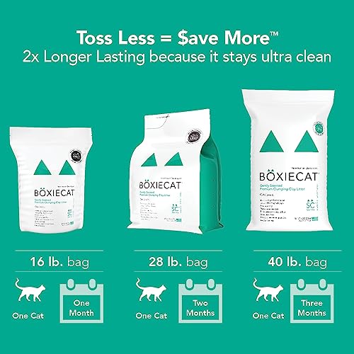 Boxiecat Premium Clumping Clay Cat Litter, Gently Scented, 40lbs - Longer Lasting Odor Control - Hard, Non Stick Clumps - Stays Ultra Clean - 99.9% Dust Free