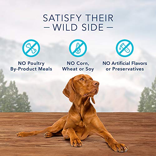 Blue Buffalo Wilderness Trail Treats High Protein Grain Free Crunchy Dog Treats Biscuits, Duck Recipe 10-oz Bag