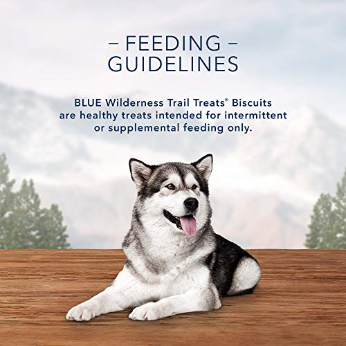 Blue Buffalo Wilderness Trail Treats High Protein Grain Free Crunchy Dog Treats Biscuits, Duck Recipe 10-oz Bag