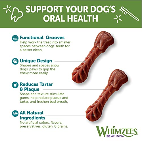 WHIMZEES by Wellness Brushing Dental Chews For Dogs, Grain-Free, Long Lasting Treats, Freshens Breath Extra Small Breed, 48 Count