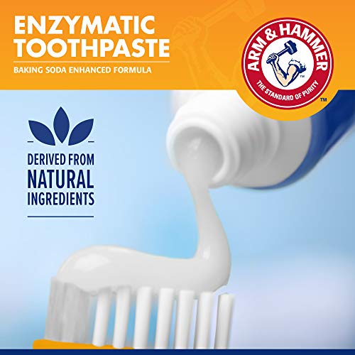 Arm & Hammer for Pets Clinical Care Dental Enzymatic Toothpaste for Dogs | Soothes Inflamed Gums | Safe for Puppies 1 Pack Fresh Breath Vanilla Ginger