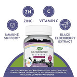 Natures Way Sambucus Elderberry Gummies with Vitamin C and Zinc for Kids, Immune Support, Berry Flavored, 60 Gummies