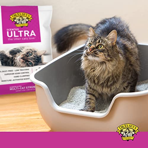 Precious Cat Elseys Ultra Scented Cat Litter,18 Lb/8.16 Kg (Pack May Vary) Clay