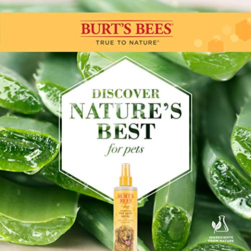 Burts Bees Hot Spot Spray - Grooming Supplies - Apple Cider Vinegar Spray, Hot Spot Treatment for Dogs