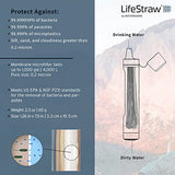 LifeStraw Peak Series - Personal Water Filter Straw for Backup Filtration, Emergency, Survival, and Ultralight Hydration, BPA-Free, Dark Mountain Gray