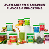 Amazing Grass Greens Blend Antioxidant: Super Greens Powder Smoothie Mix with Organic Spirulina, Beet Root Powder, Elderberry & Probiotics, Sweet Berry, 60 Servings (Packaging May Vary)