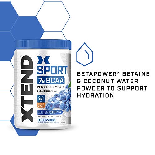 XTEND Sport BCAA Powder Strawberry Kiwi Splash - Electrolyte Powder for Recovery & Hydration with Amino Acids - 30 Servings