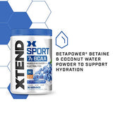 XTEND Sport BCAA Powder Strawberry Kiwi Splash - Electrolyte Powder for Recovery & Hydration with Amino Acids - 30 Servings