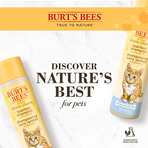 Burts Bees for Kittens Natural Tearless Shampoo with Buttermilk, 10 Oz - Cat Grooming And Bath Supplies, Kitty Shampoo, Pet Shampoo