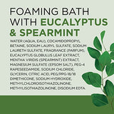 Dr Teal's Foaming Bath with Pure Epsom Salt, Relax & Relief with Eucalyptus & Spearmint, 34 fl oz (Pack of 4) (Packaging May Vary)