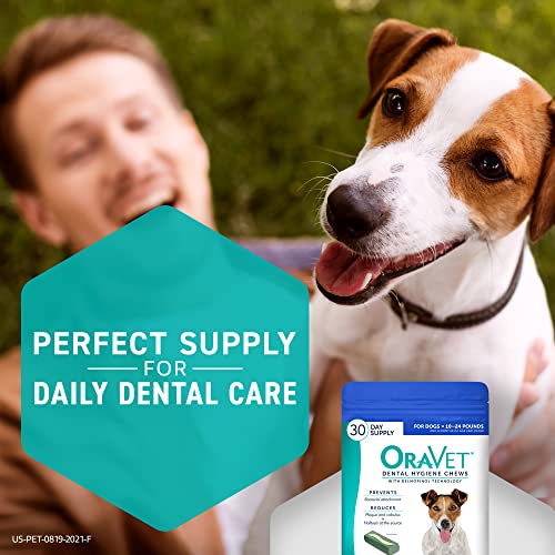 ORAVET Dental Chews for Dogs, Oral Care and Hygiene Chews (Small Dogs, 10-24 lbs.) Blue Pouch, 14 Count