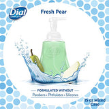 Dial Complete Anti-bacterial Foaming Hand Wash, 60 oz of Foaming Hand Soap. 2-scent Variety Pack Spring Water/Pear, 15 Fluid Ounces each (4 pack)