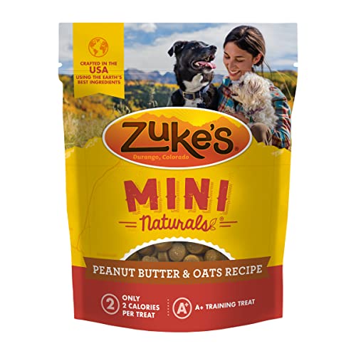 Zuke’s Mini Naturals Soft Dog Treats for Training, Soft and Chewy Dog Training Treats with Salmon Recipe