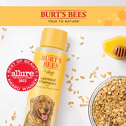 Burts Bees for Pets Oatmeal Dog Shampoo | With Colloidal Oat Flour & Honey | Moisturizing & Nourishing, Cruelty Free, Sulfate & Paraben Free, pH Balanced for Dogs - Made in USA, 16 Oz