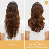 Biolage Styling Smooth Shine Milk | Lightweight Mist That Smooths Hair & Controls Frizz | For All Hair Types | Paraben-Free | Vegan |8.5 fl. oz. | 8.45 Fl. Oz