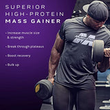 Mass Gainer MuscleTech 100% Mass Gainer Protein Powder Protein Powder for Muscle Gain Whey Protein + Muscle Builder Creatine Supplements Vanilla, 5.15 Pound (Pack of 1)