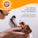 Arm & Hammer Ultra Fresh No Rinse Deodorizing Foam for Dogs, Juniper Mist, 8 Oz | Waterless Dog Shampoo | Baking Soda Neutralizes Bad Odors for an Advanced Clean