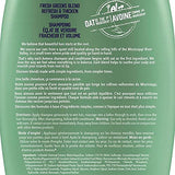 Aveeno Fresh Greens Shampoo + Conditioner with Rosemary, Peppermint & Cucumber to Thicken & Nourish, Clarifying & Volumizing Shampoo for Thin or Fine Hair, Paraben-Free, 12 Fl Oz