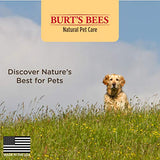 Burts Bees Natural Hypoallergenic Shampoo with Shea Butter and Honey for All Dogs and Puppies with Dry or Sensitive Skin | Made in the USA | 16 Ounces