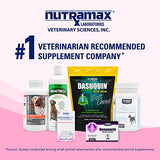 Nutramax Proviable Digestive Health Supplement Kit with Multi-Strain Probiotics and Prebiotics for Medium to Large Dogs - with 7 Strains of Bacteria, 30 mL Paste and 10 Capsules