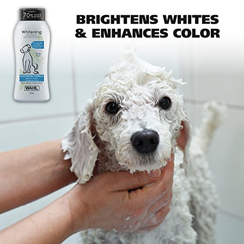 Wahl Whitening Shampoo White Pear scent for Pets – Whitening & Animal Odor Control with Silky Smooth Results for Grooming Dirty Dogs – 24 oz - Model 820001A