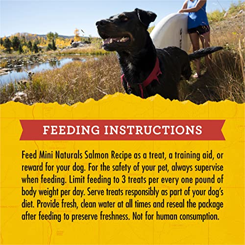 Zuke’s Mini Naturals Soft Dog Treats for Training, Soft and Chewy Dog Training Treats with Salmon Recipe