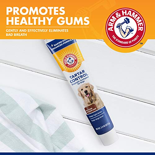 Arm & Hammer for Pets Clinical Care Dental Enzymatic Toothpaste for Dogs | Soothes Inflamed Gums | Safe for Puppies 1 Pack Fresh Breath Vanilla Ginger