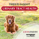 Nutramax Crananidin Cranberry Extract Urinary Tract Health Supplement for Dogs, 75 Chewable Tablets