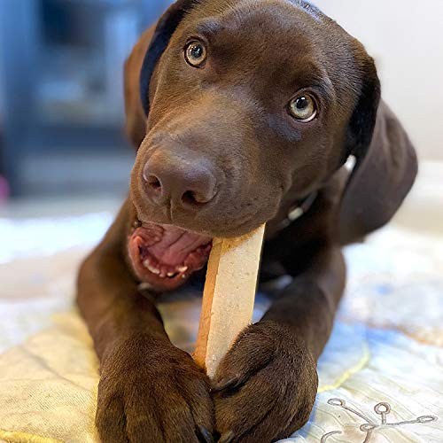 Himalayan Dog Chew Original Yak Cheese Dog Chews, 100% Natural, Long Lasting, Gluten Free, Healthy & Safe Dog Treats, Lactose & Grain Free, Protein Rich, Peanut Bits, Small, Dogs 15 lbs and Smaller