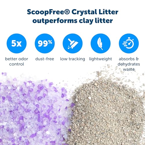 PetSafe ScoopFree Crystal Litter Tray Refills – Clear Crystals, 3-Pack – No Dyes, Fragrance-Free – Disposable Tray – Includes Leak Protection & Low Tracking Litter – Absorbs Odors on Contact