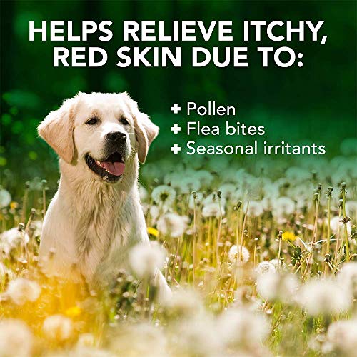 Vets Best Allergy Itch Relief Dog Shampoo | Cleans and Relieves Discomfort from Seasonal Allergies | Gentle Formula | 16 Oz