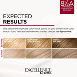 Excellence Dark Brown 4 2pk