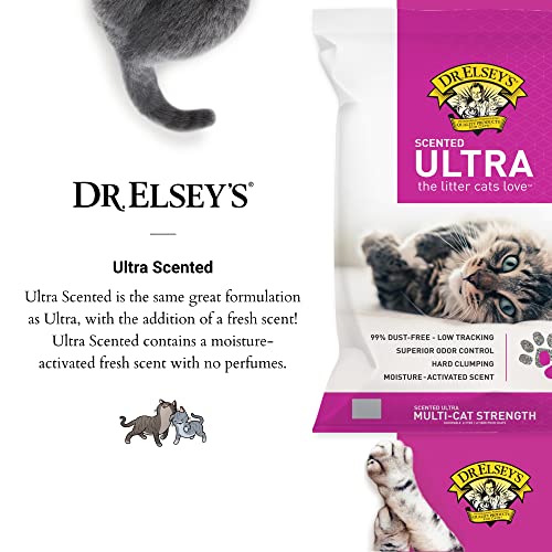 Precious Cat Elseys Ultra Scented Cat Litter,18 Lb/8.16 Kg (Pack May Vary) Clay