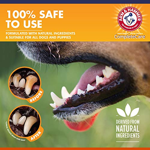 Arm & Hammer Complete Care Enzymatic Toothpaste for Puppies, Adult Dogs, Pet, Dog Dental Care and Clean Teeth, 6.2 oz