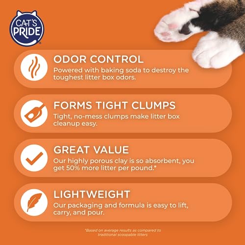 Cat's Pride Lightweight Clumping Litter: Natural - Powerful Odor Control - Unscented, 10 Pounds