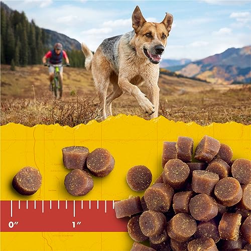 Zuke’s Mini Naturals Soft Dog Treats for Training, Soft and Chewy Dog Training Treats with Salmon Recipe