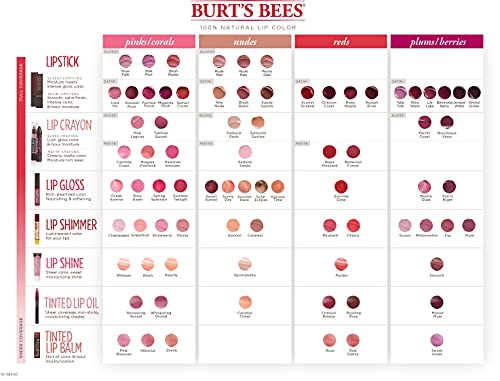 Burt's Bees Lip Gloss, Lip Shine for Women, 100% Natural Makeup, Pucker