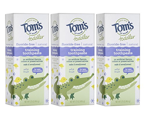 Toms of Maine Fluoride-Free Toddler Training Toothpaste, Mild Fruit, 1.75 oz. 3-Pack (Packaging May Vary)