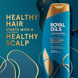 Head & Shoulders Royal Oils Sulfate-Free Scalp Care Anti-Dandruff Shampoo for Natural, Curly, and Coily Hair, with Coconut Oil and Apple Cider Vinegar, Paraben Free, 12.8 Fl Oz