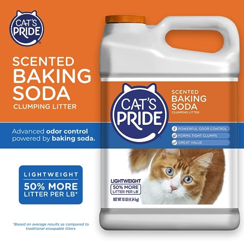 Cat's Pride Lightweight Clumping Litter: Natural - Powerful Odor Control - Unscented, 10 Pounds